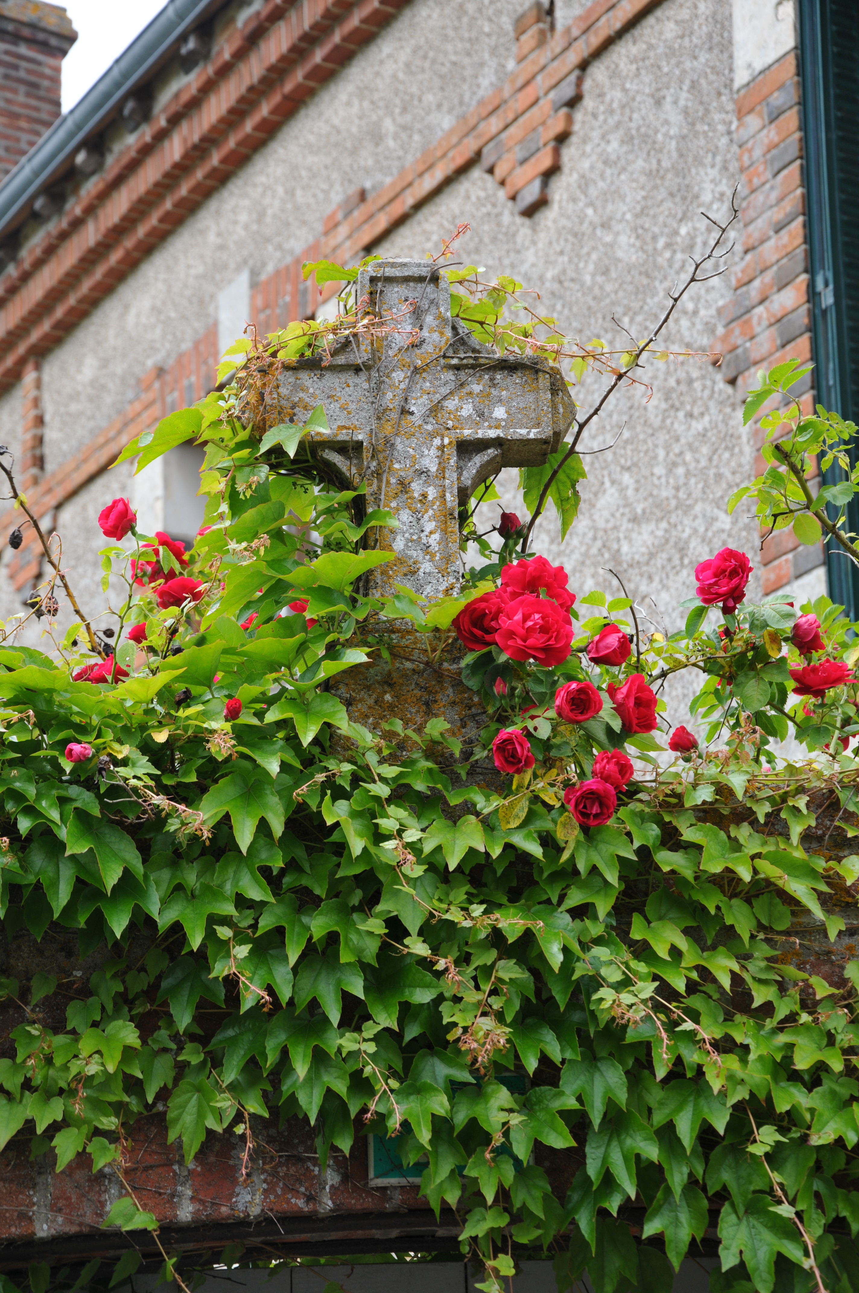 Lion-en-Sullias, Lion-en-Sullias - photo 3