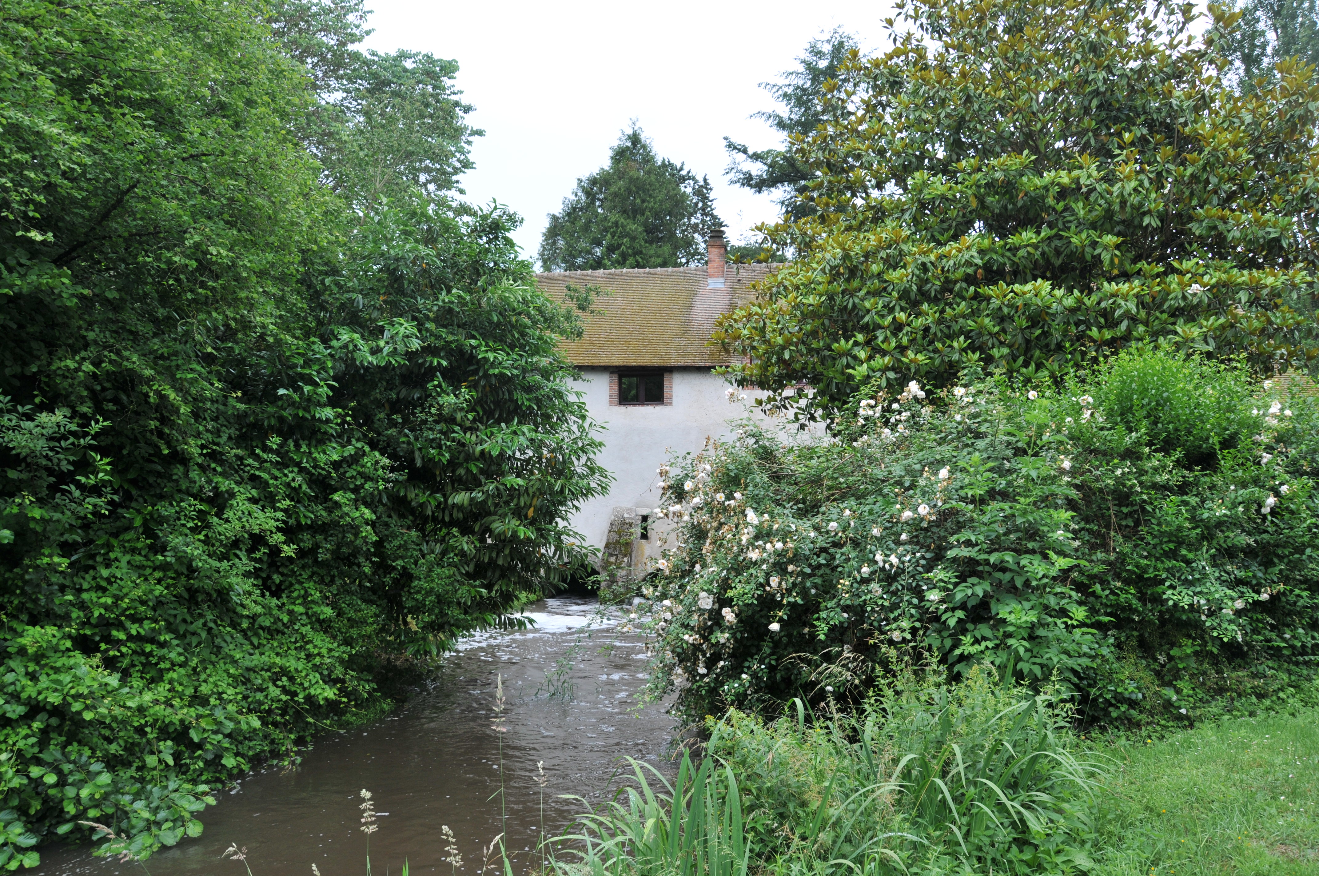 Village de Saint-Gondon, Saint-Gondon - photo 6