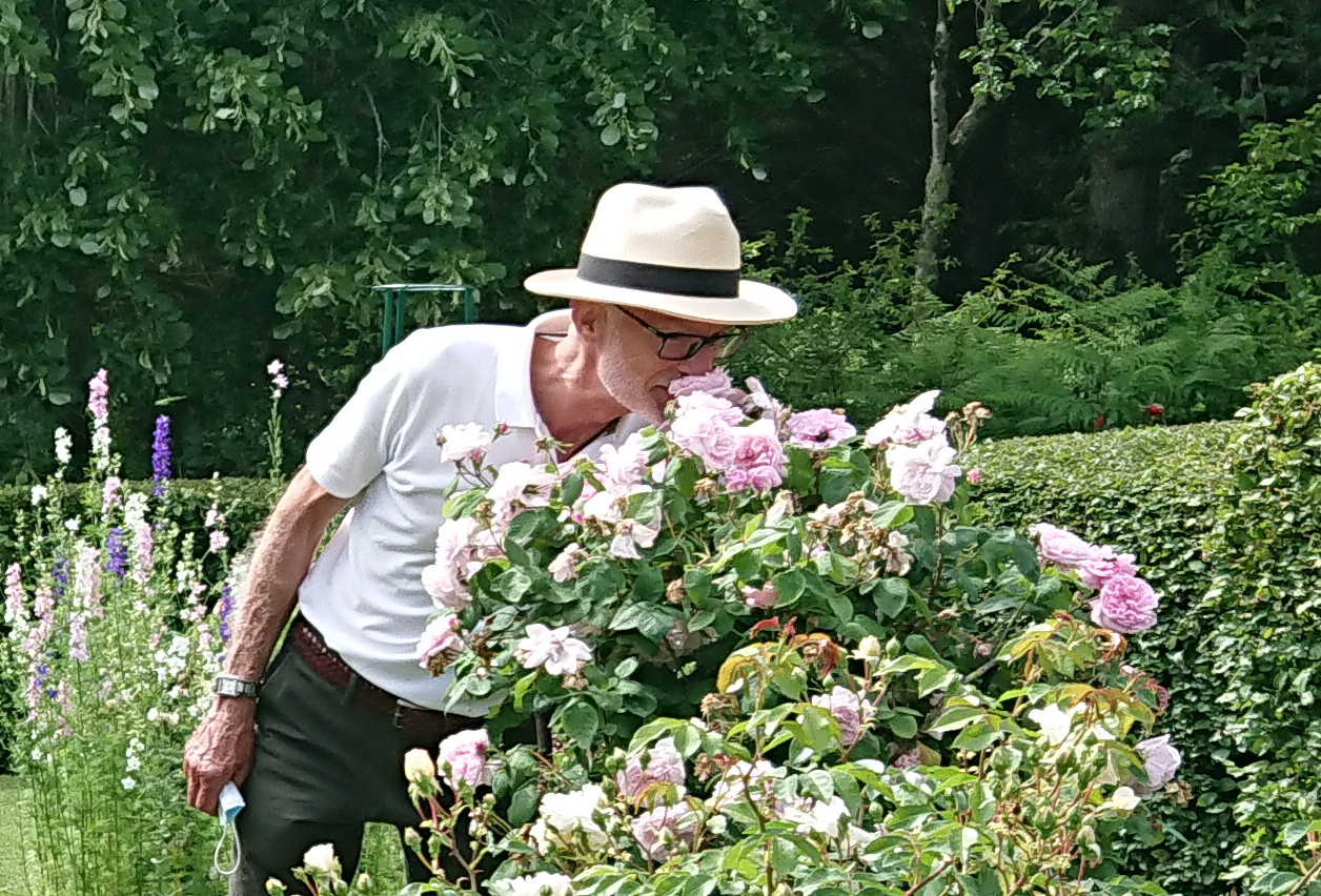 Les Roses anciennes