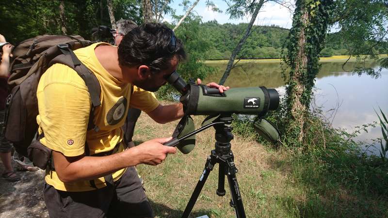 Découverte de la nature en Sologne, Romorantin-Lanthenay