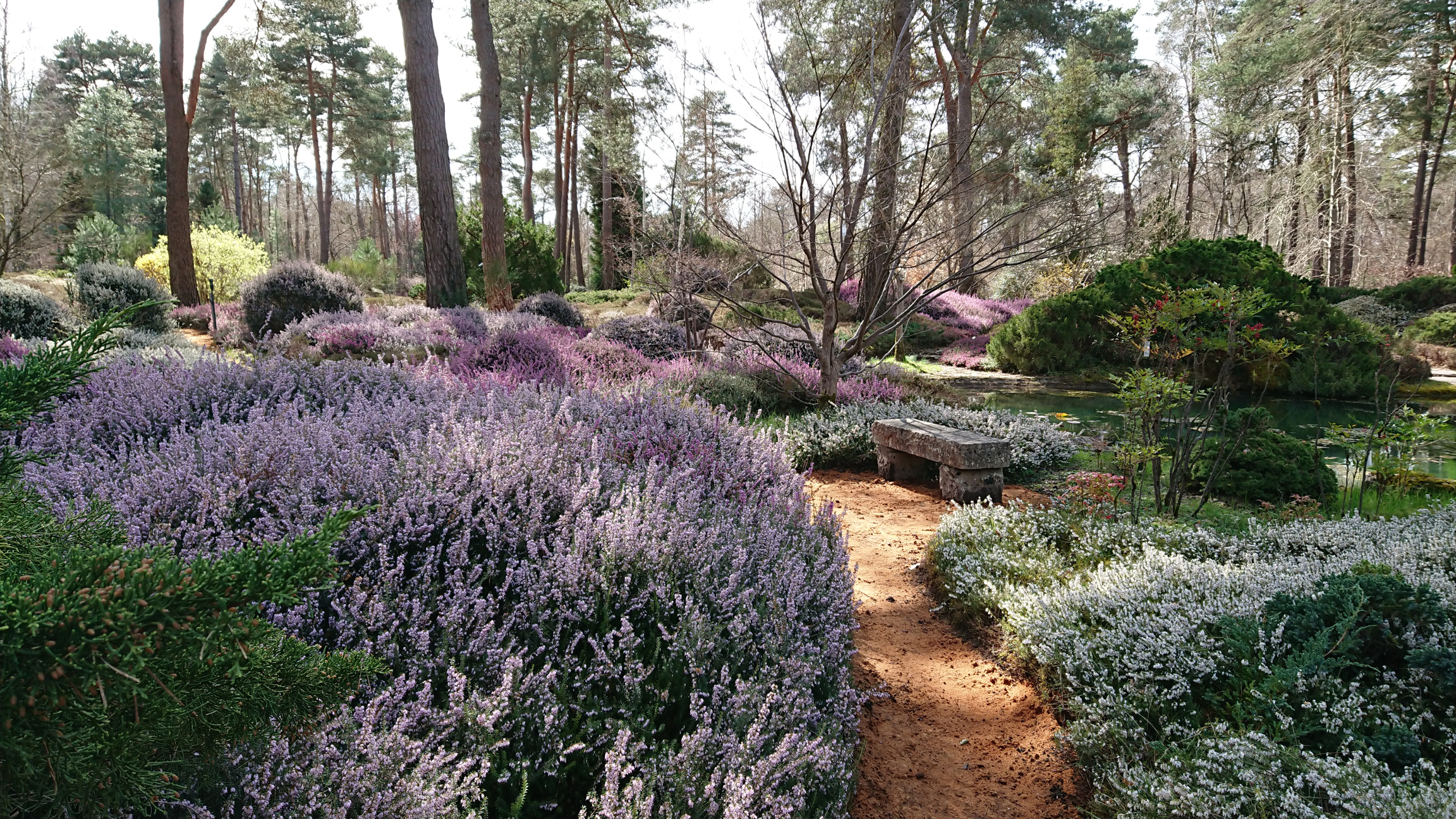 Bienvenue à l'Arboretum - photo 3