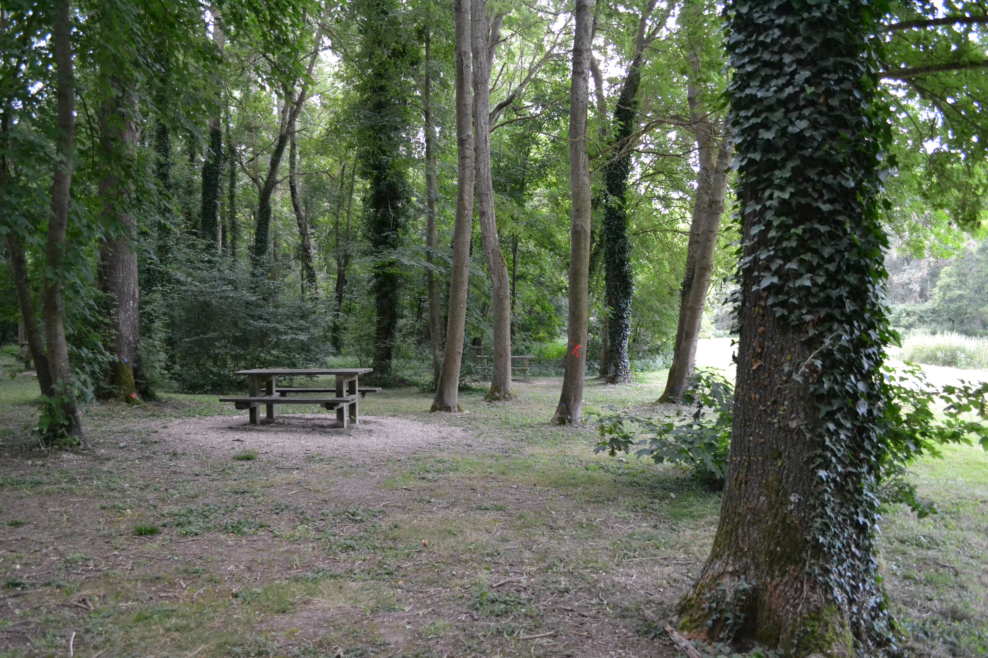 Yèvre-la-Ville, Yèvre-la-Ville - photo 3