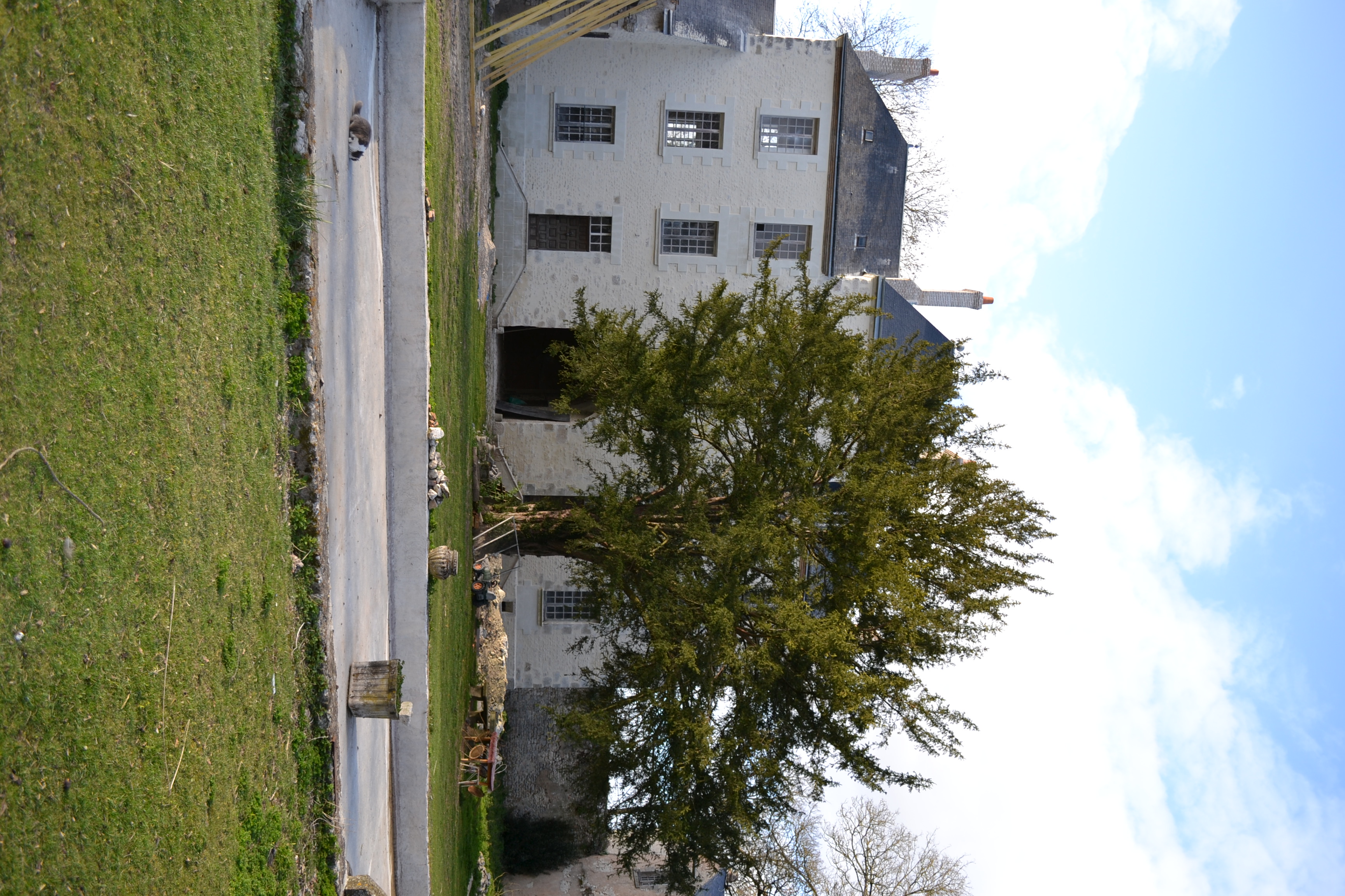 Château de Rougemont  France Centre-Val de Loire Loiret Aschères-le-Marché 45170