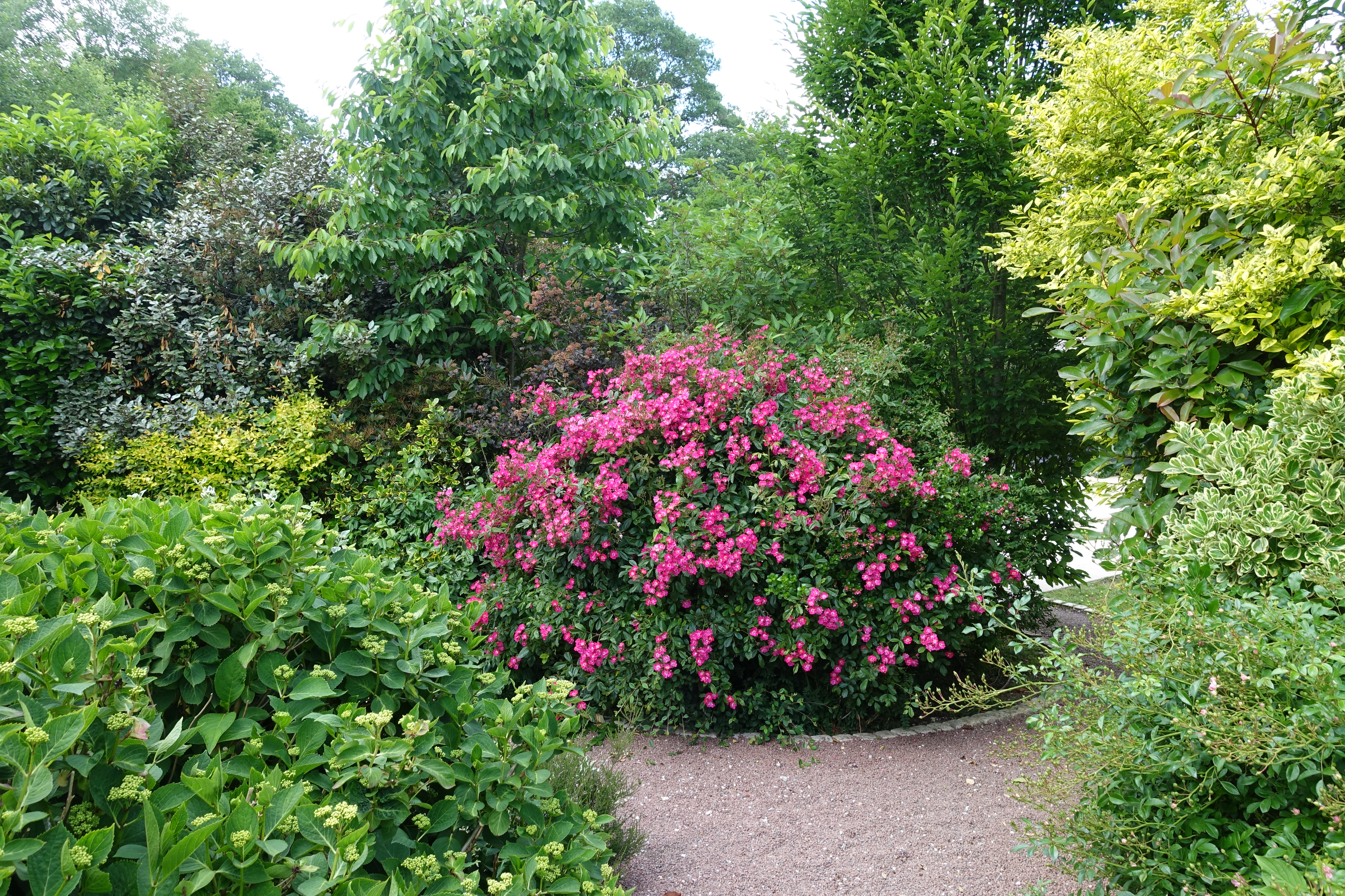 Gîte Les Blots, La Bussière - photo 24