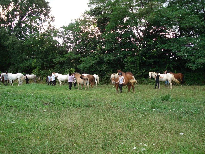 Bivouac-rando à cheval ou à poney