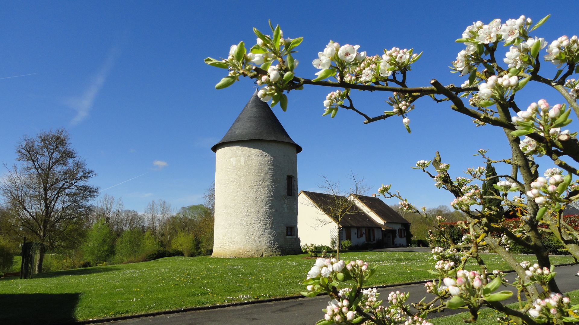 La tour levoy, Pontlevoy - photo 2