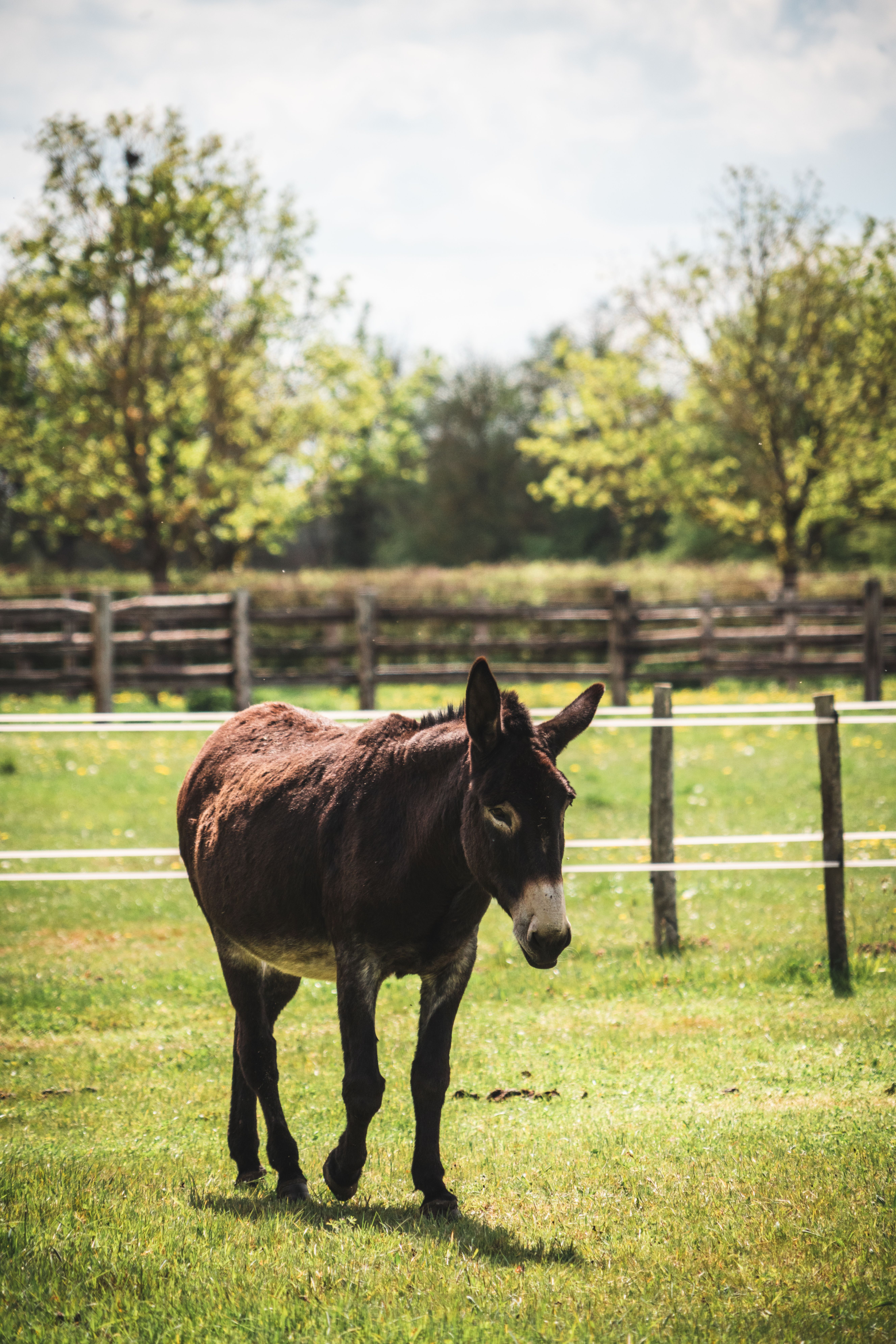 Le tour du Pôle du Cheval et de l'Âne