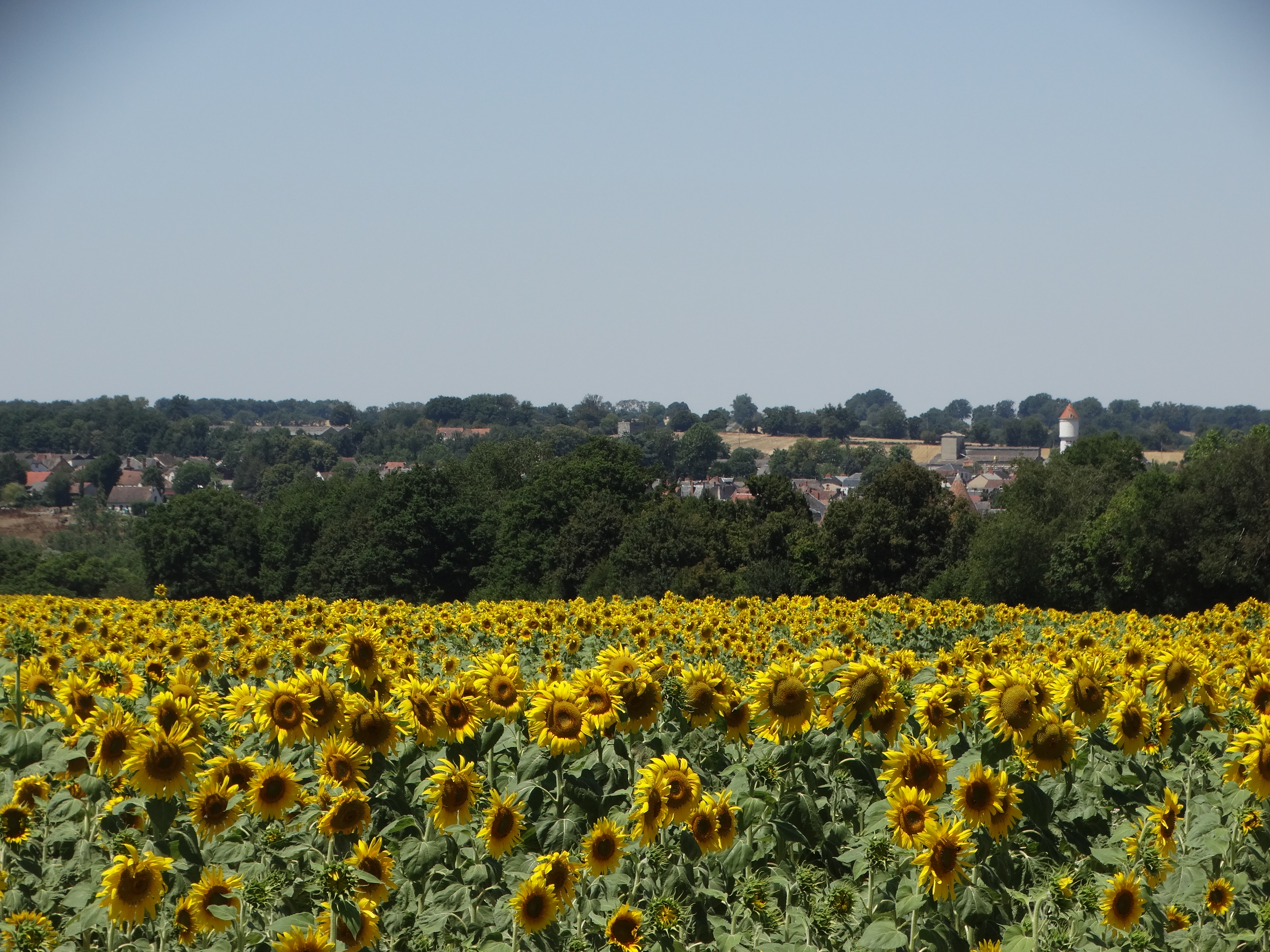 Randonnée gourmande à Culan — visuel événement