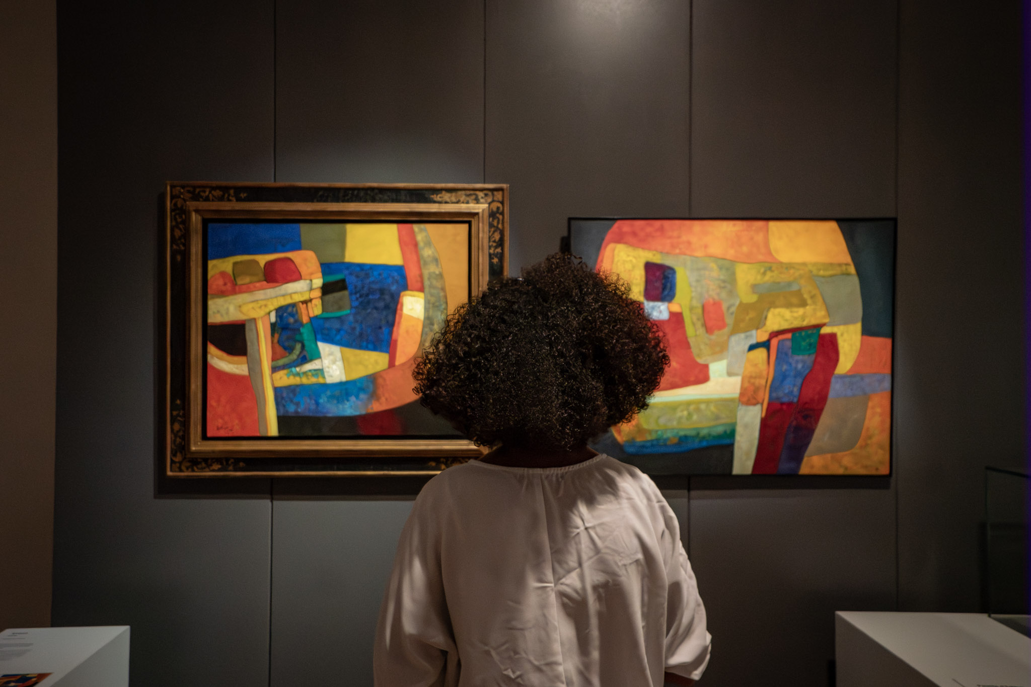 Musée Estève, Bourges - photo 5