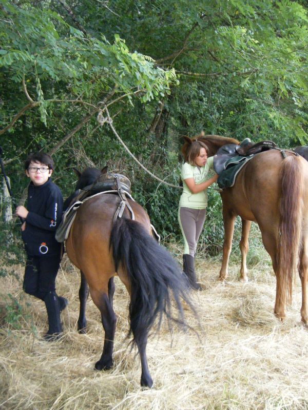 Bivouac-rando à cheval ou à poney - photo 3