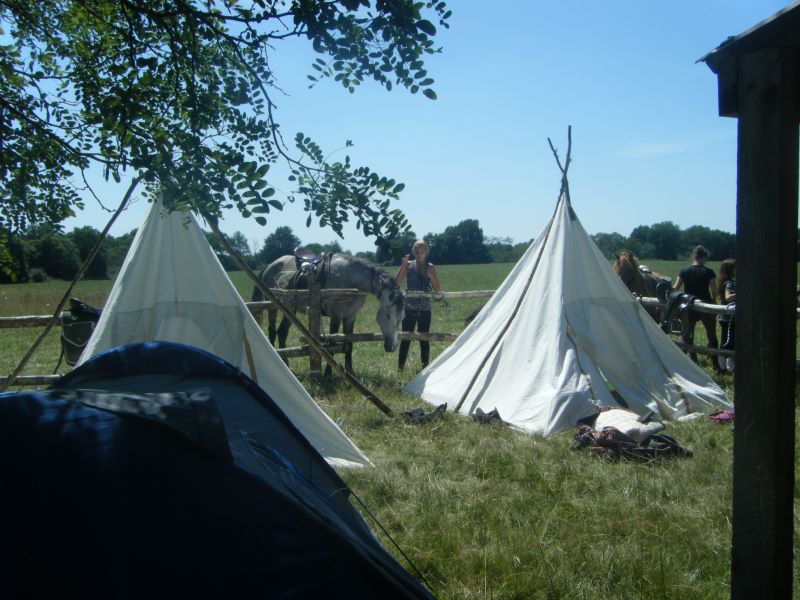 Centre équestre et Poney Club de l'Epineau — photo 2