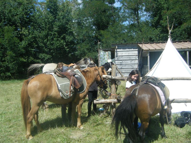 Bivouac-rando à cheval ou à poney - photo 2