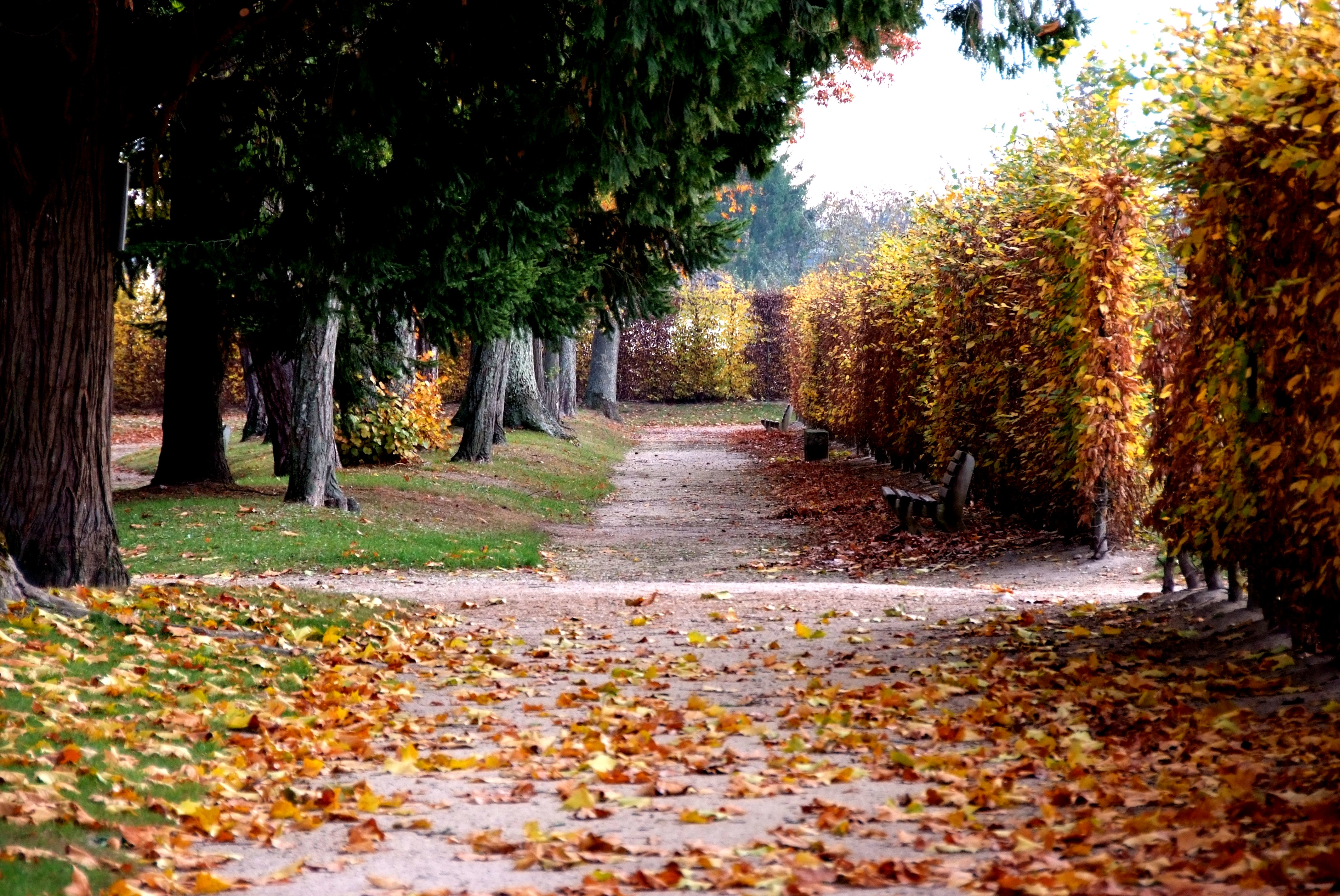 Les Grands Jardins, Aubigny-sur-Nère