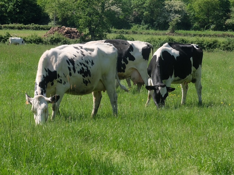 La Ferme du Pont