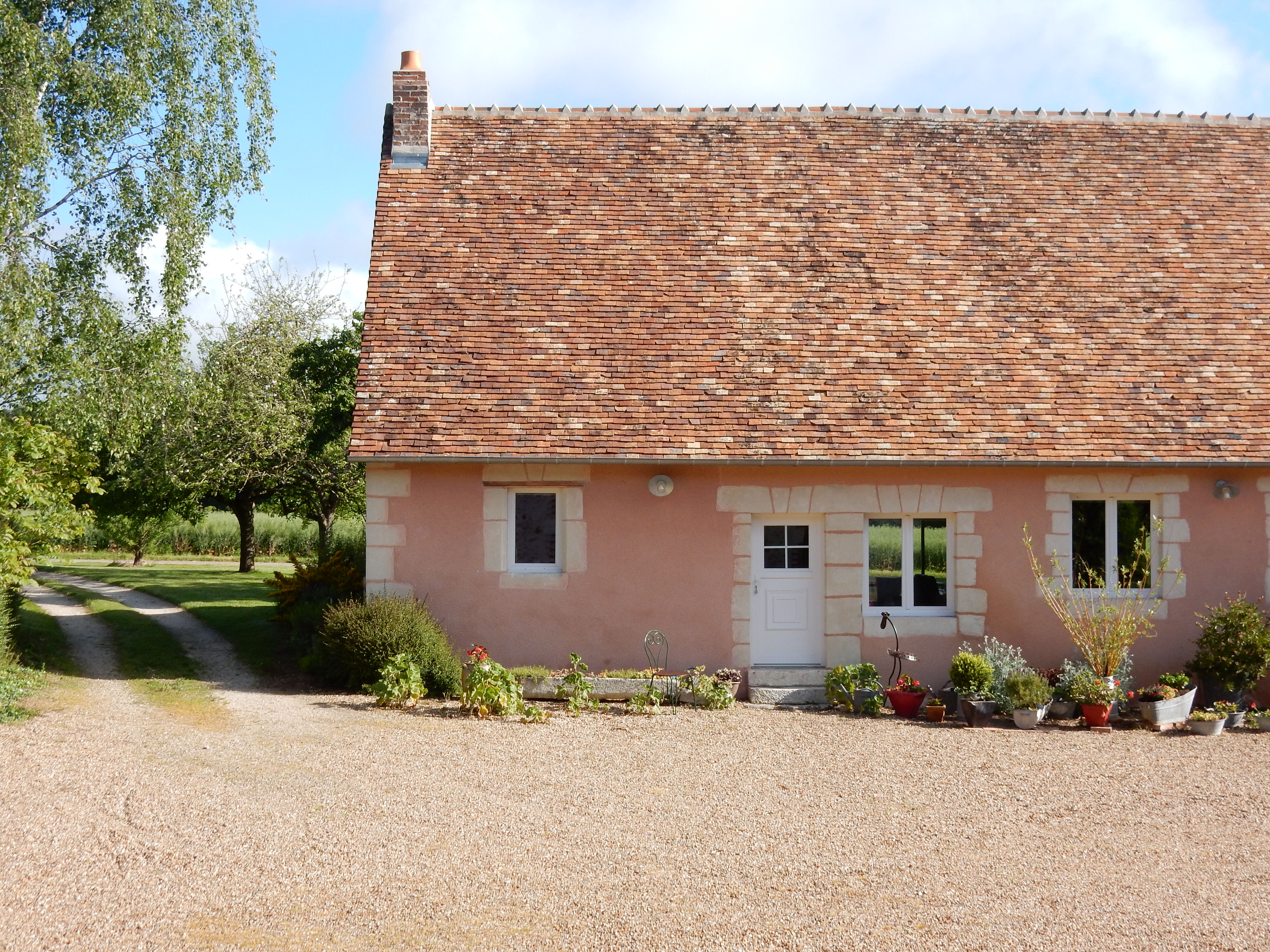 Les grandes fougères, Rahart - photo 3