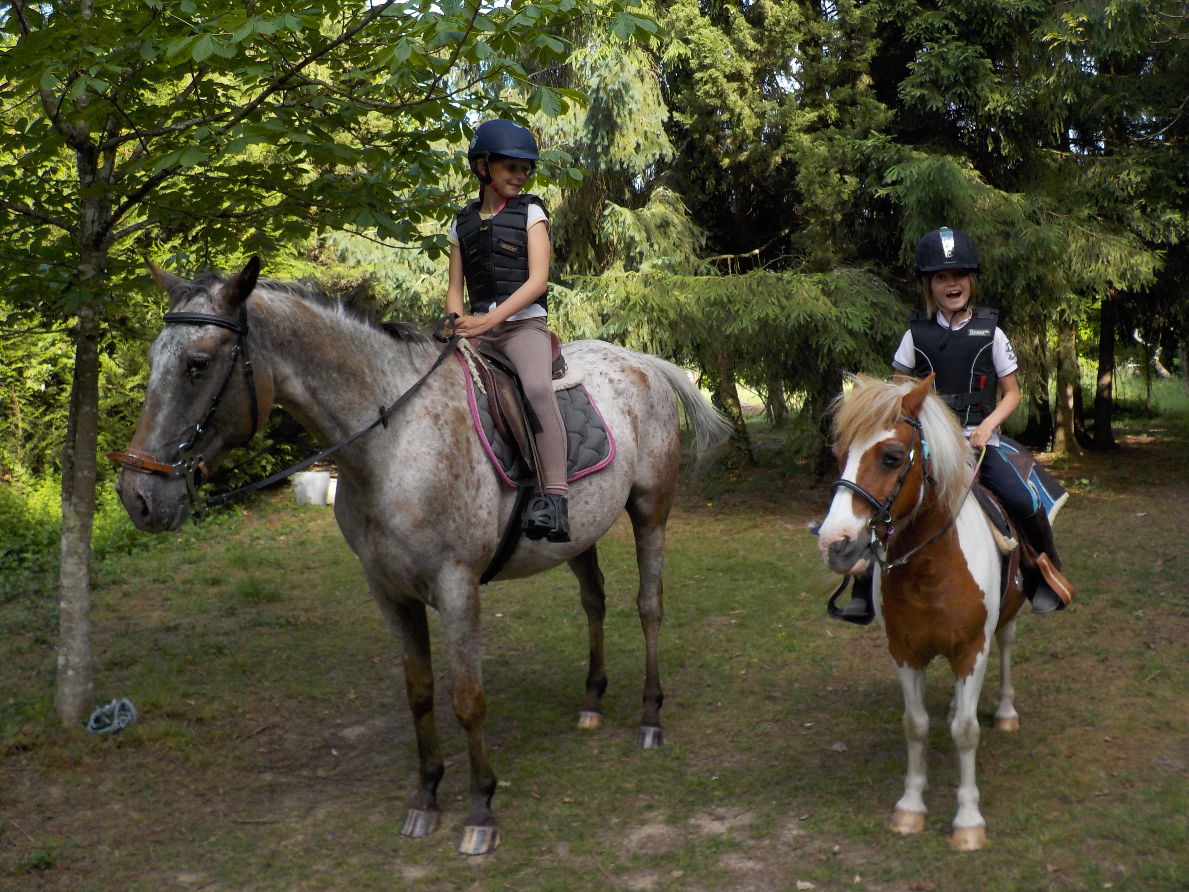 Les matinées 100% poney - vacances de Pâques — visuel événement