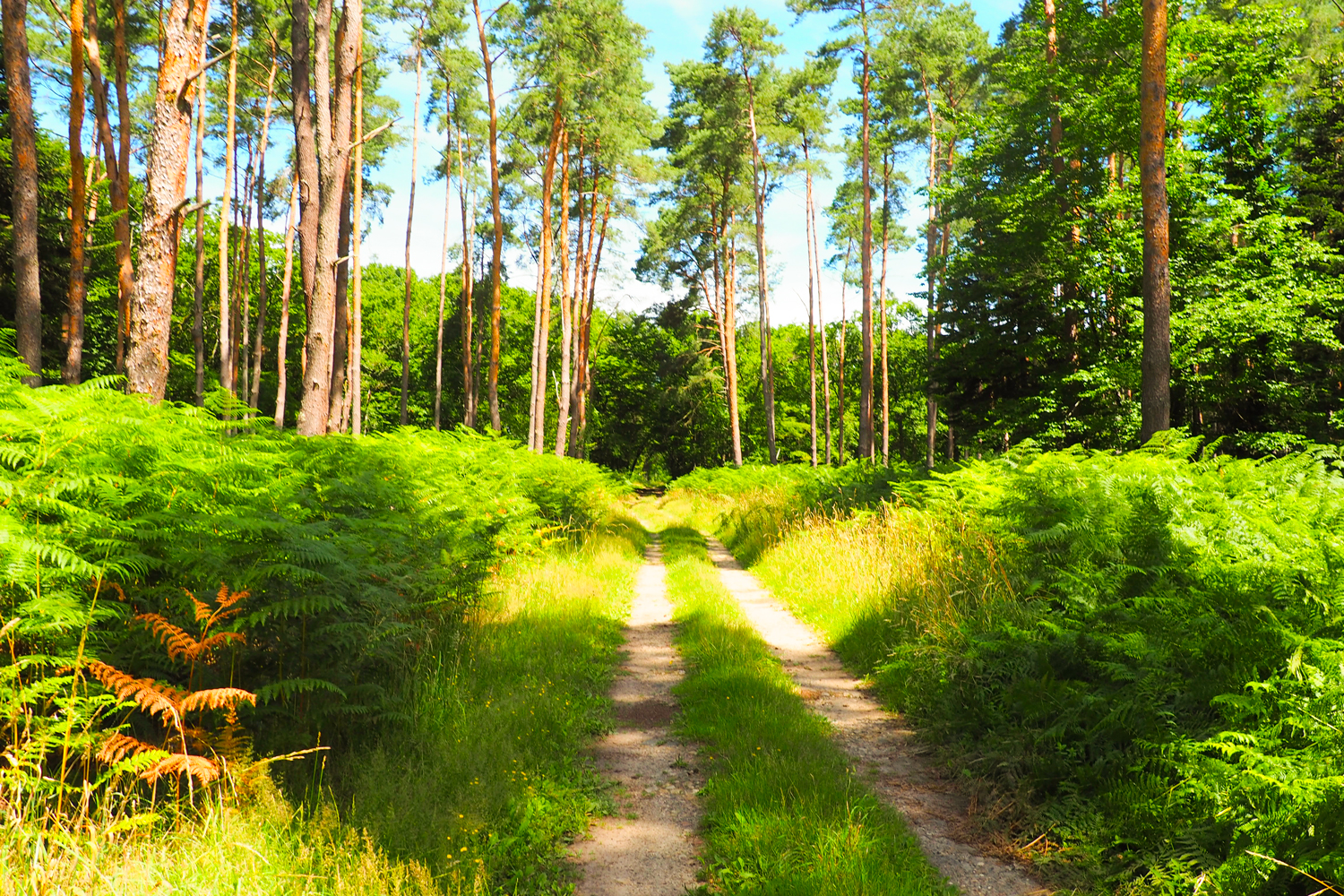 Dun le Poelier La Marivolle