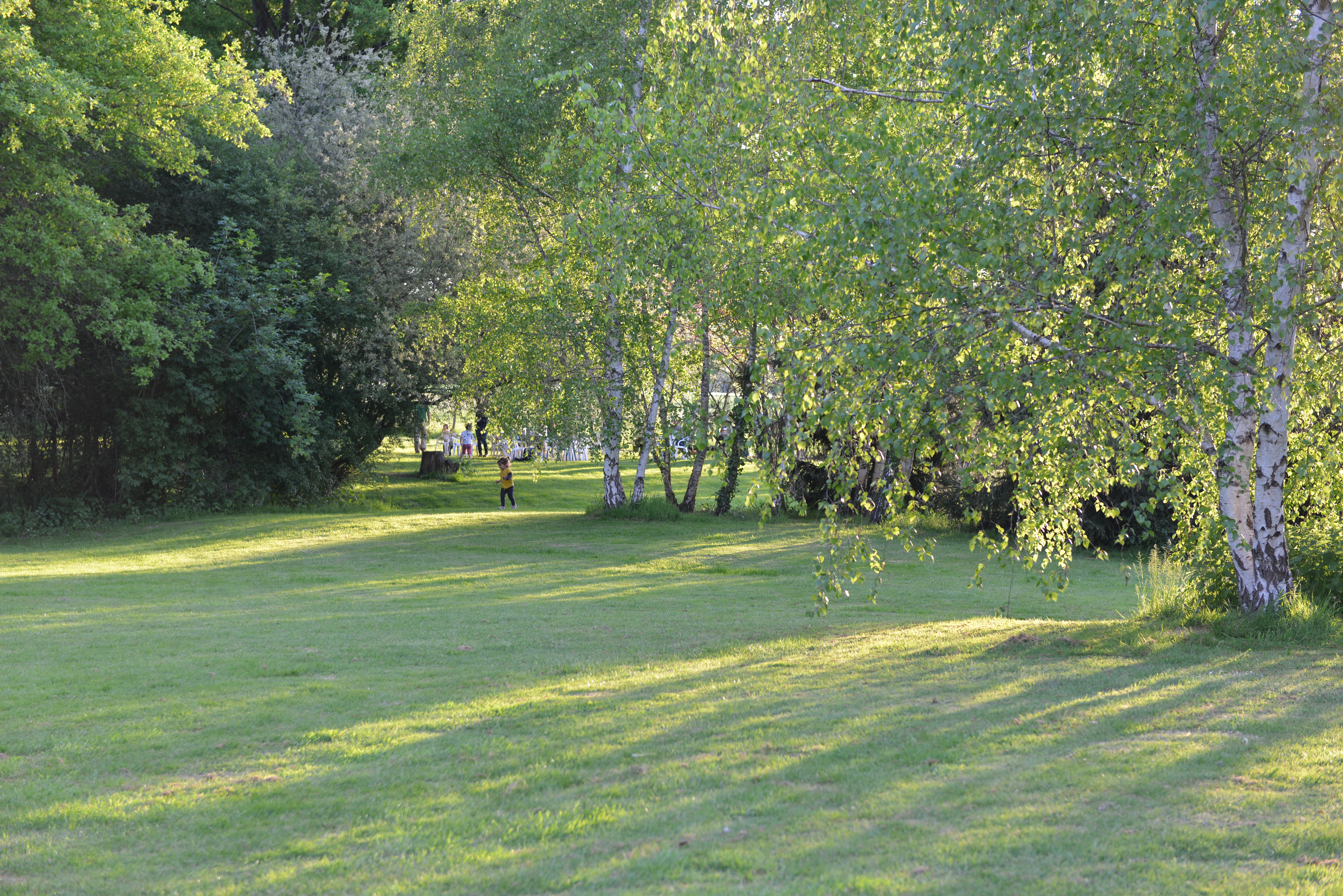 Domaine de L'Epinoy, Saint-Aignan-le-Jaillard - photo 11