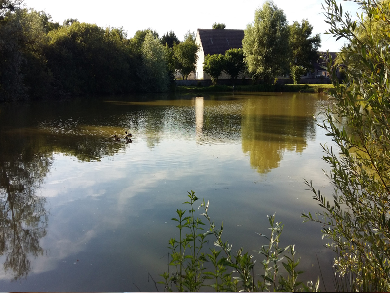 Gîte La Petite Métairie, Dammarie-en-Puisaye - photo 5