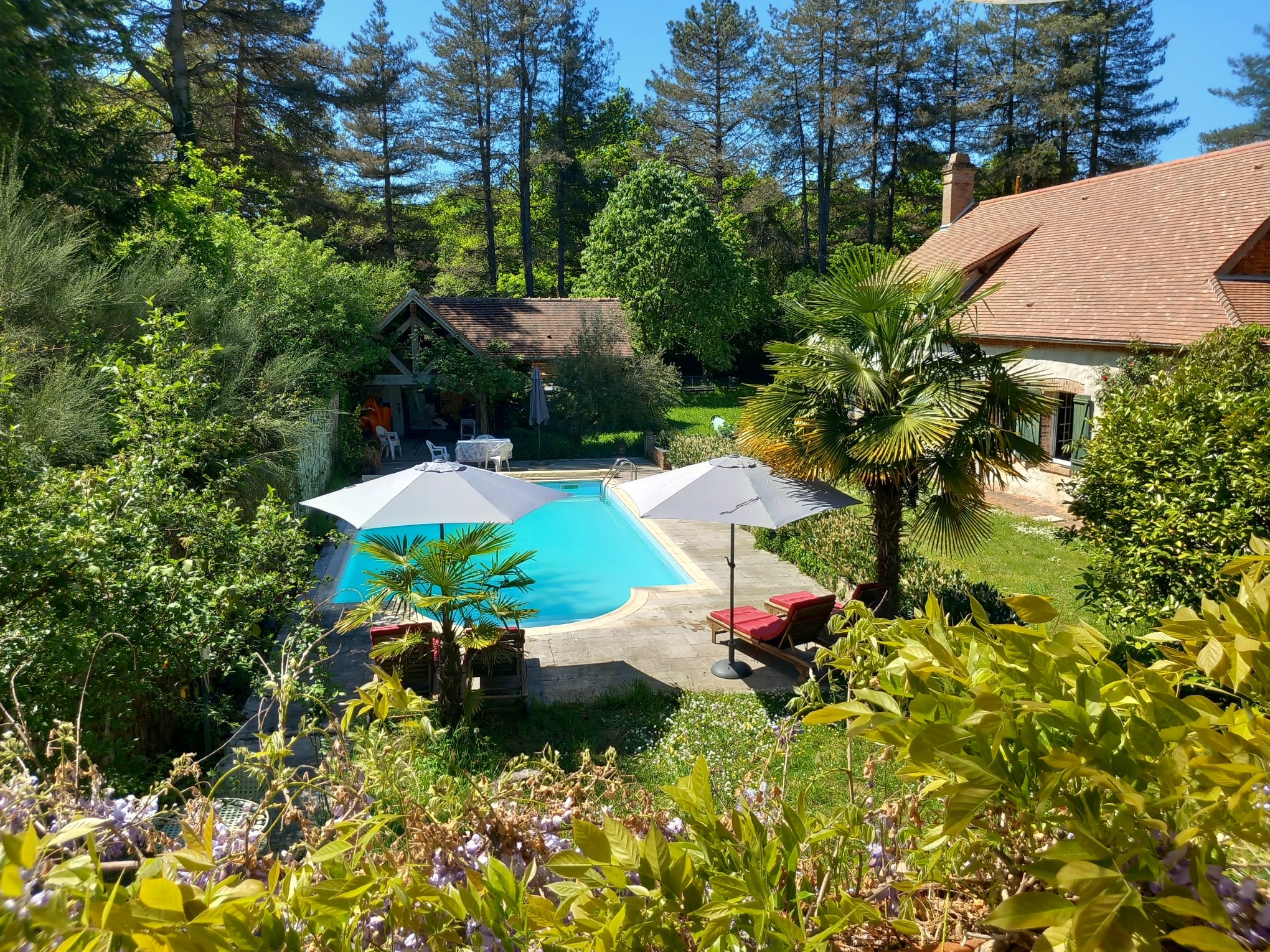 La Danasha, Viglain - photo 14