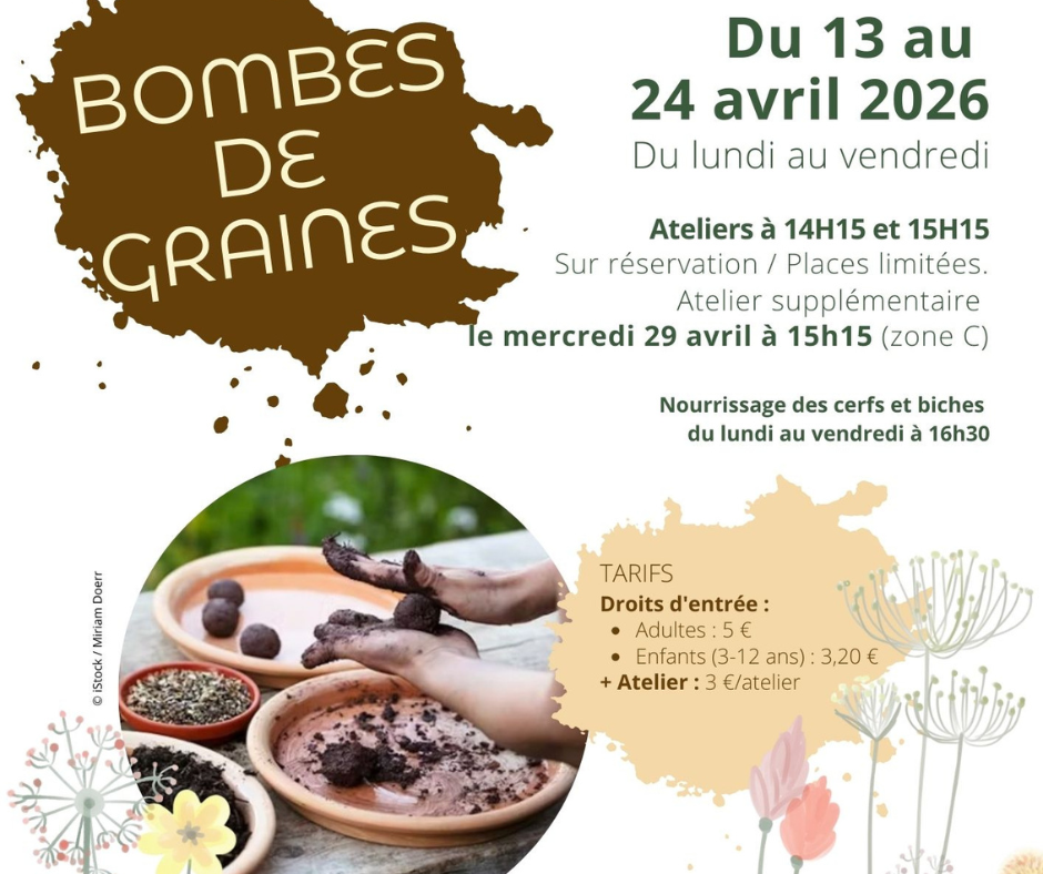 Bombes de graines