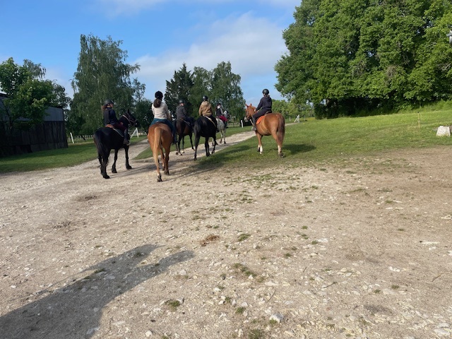 Centre équestre et poney club de la Virevolte — photo 2