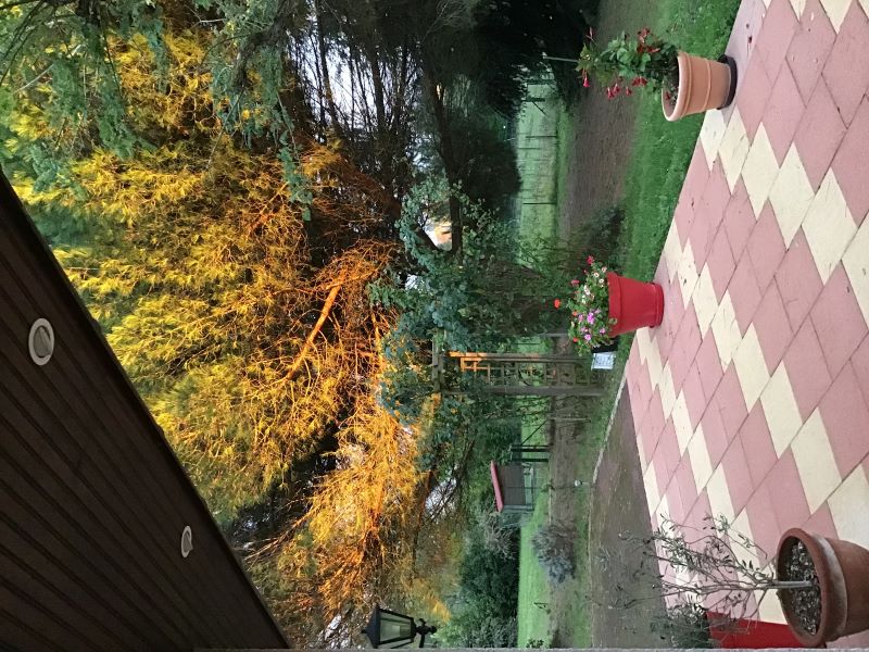 Des Roux et des Pious, Civray-de-Touraine - photo 2