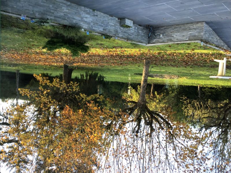 Des Roux et des Pious, Civray-de-Touraine - photo 3