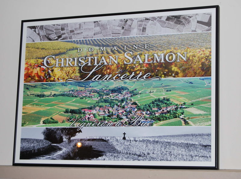 Domaine Christian Salmon©