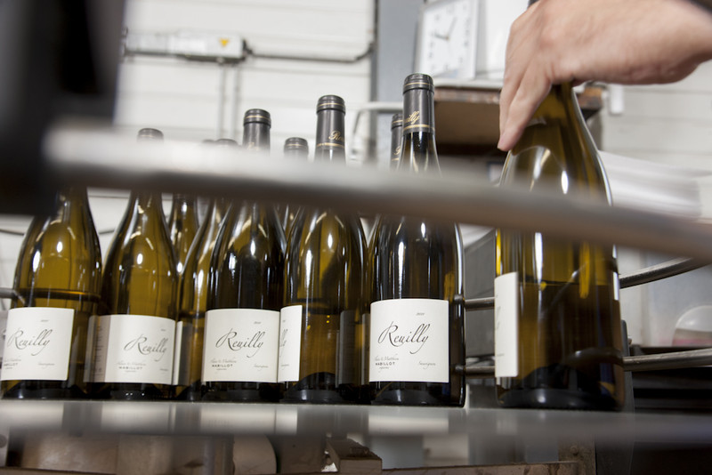 Domaine Matthieu et Renaud Mabillot