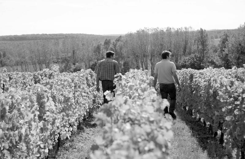 Domaine Matthieu et Renaud Mabillot