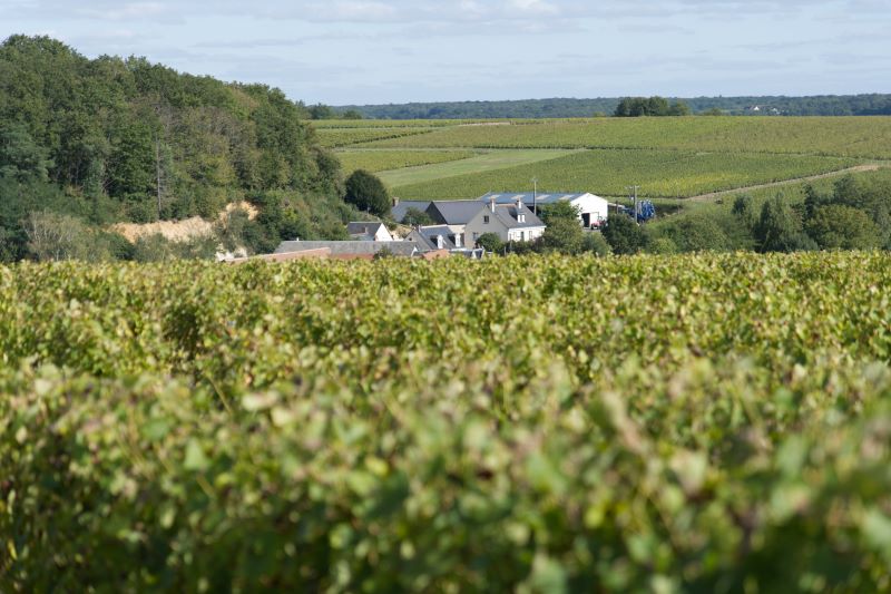 Domaine du Margalleau - Bruno et Jean-Michel Pieaux — photo 2
