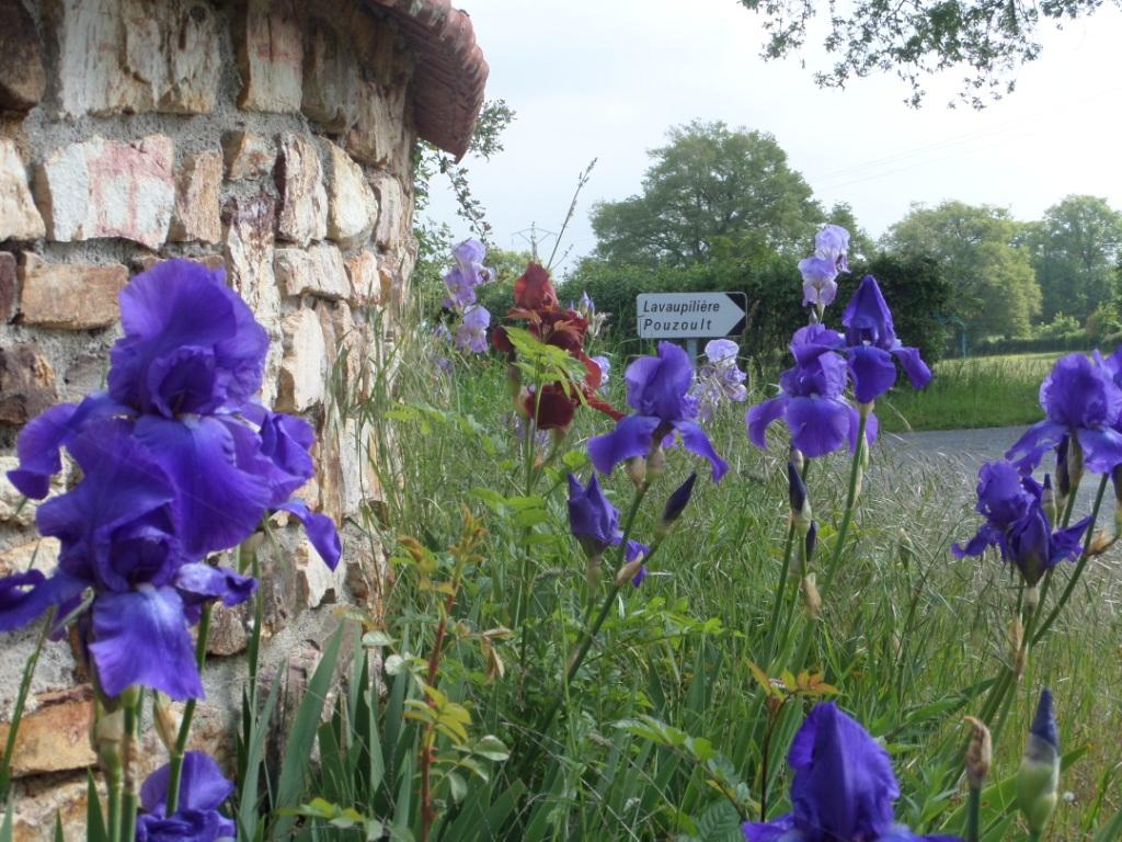 L'Escalier au Domaine Pouzoult, Sazeray - photo 9