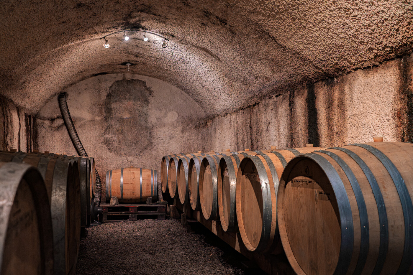 Rendez-vous Di(vin) aux Domaines Tatin — visuel événement