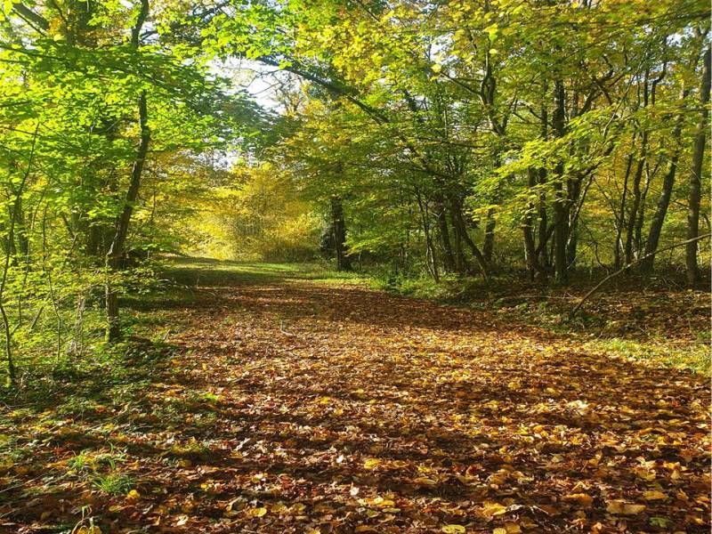 Espace naturel sensible Domaine de Flotin