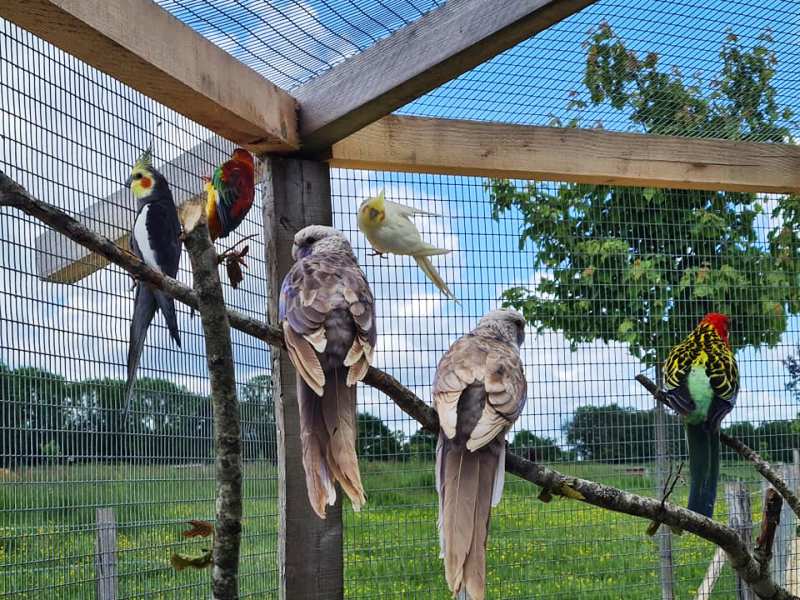 Parc animalier - Domaine de Revert, Charenton-du-Cher - photo 5