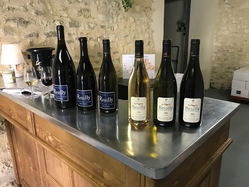 Domaine de la Pagerie - Famille Pointereau — photo 3