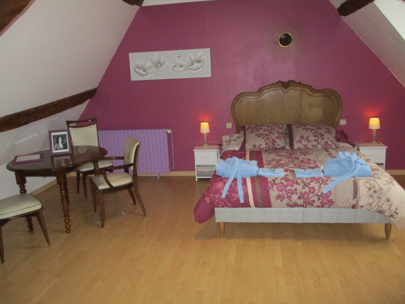 Domaine de la Touche, Mosnay - photo 3