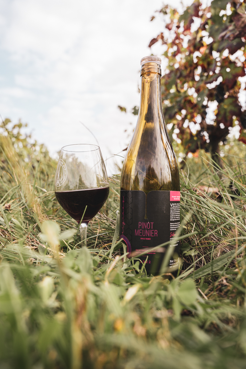 Domaine de la Bourdonnière — photo 3