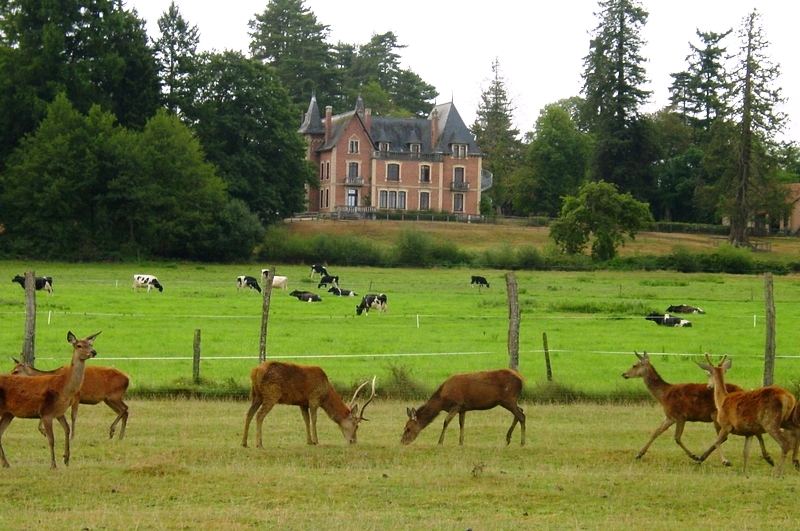 Au pays de Ménestreau, Ménestreau-en-Villette - photo 6