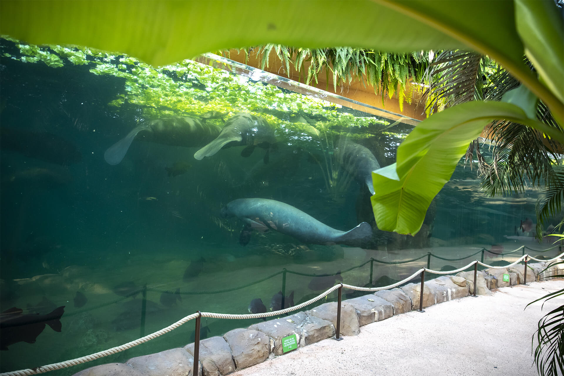 ZooParc de Beauval, Saint-Aignan - photo 6