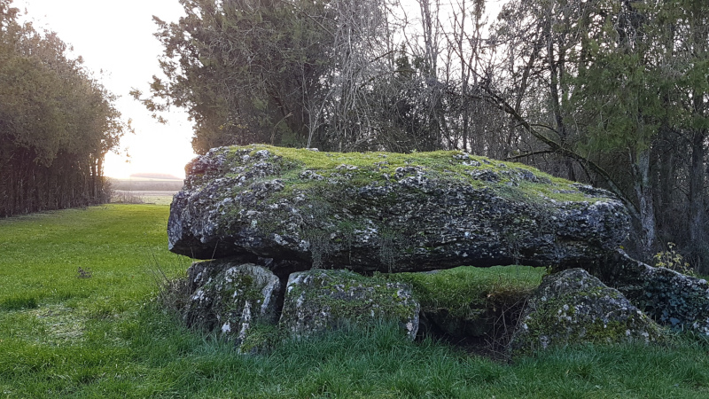 Le chemin des Eaux bleues et de la Pierre tournante, Tavers - photo 6