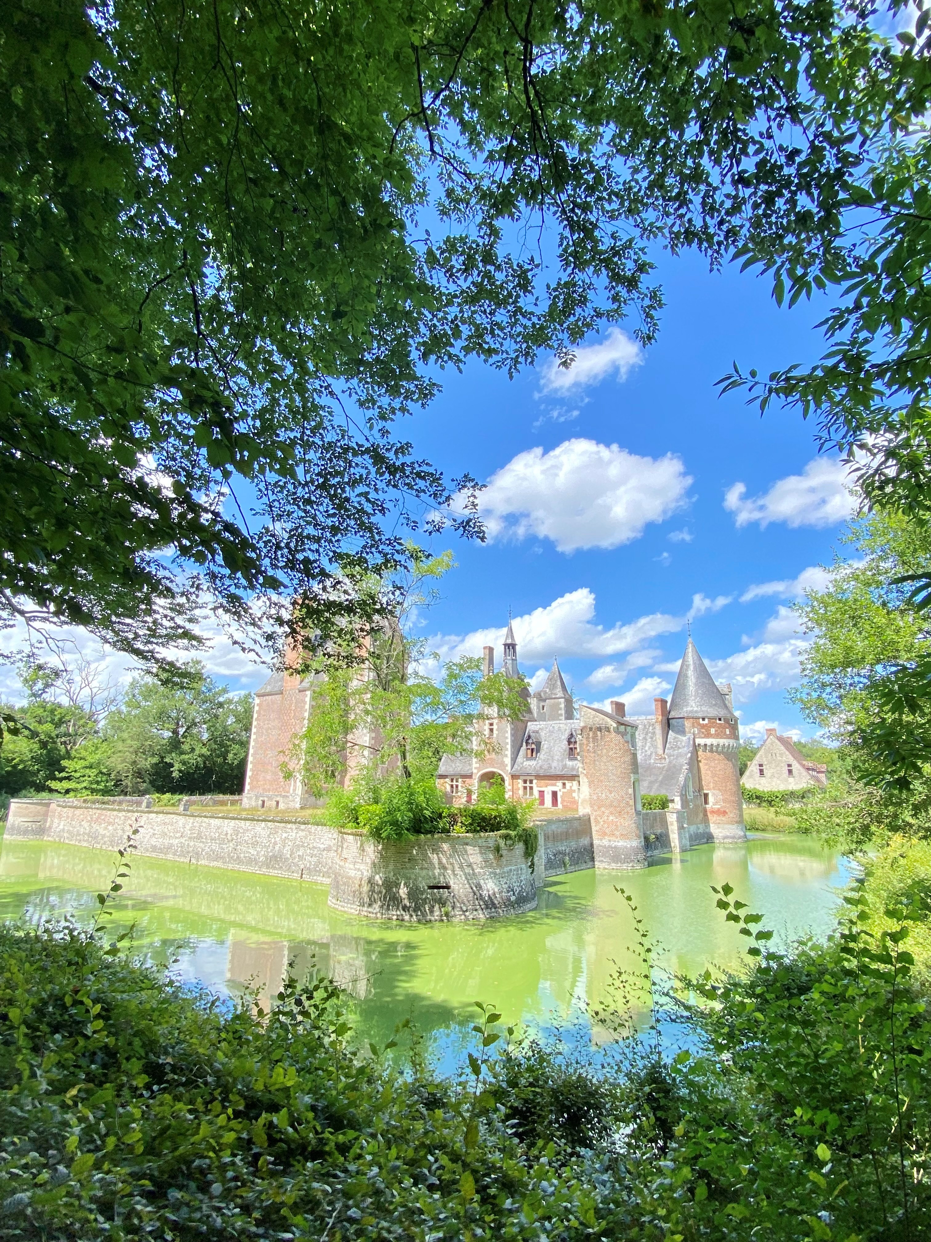 Château du Moulin, Lassay-sur-Croisne - photo 10