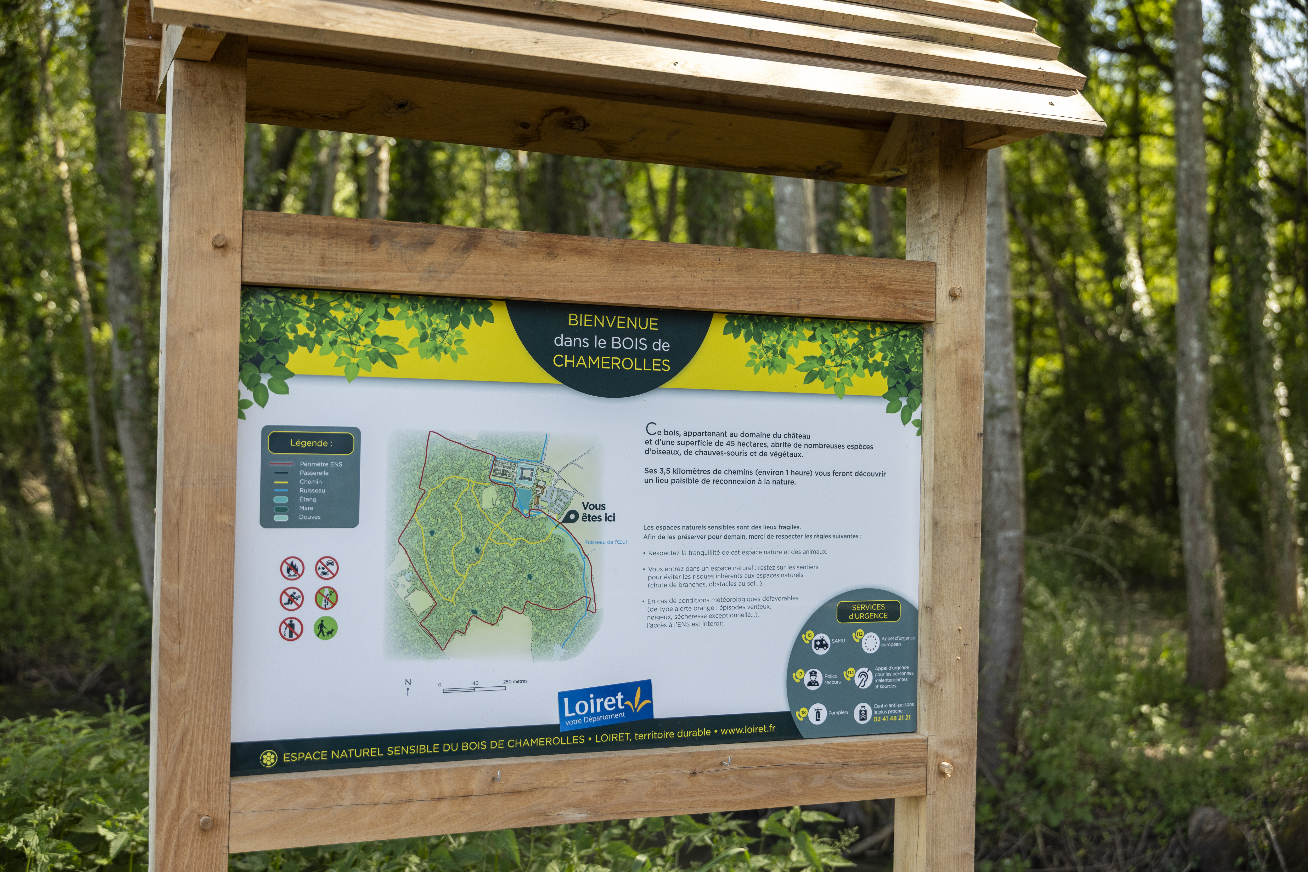 Espace naturel sensible Le bois de Chamerolles — photo 2