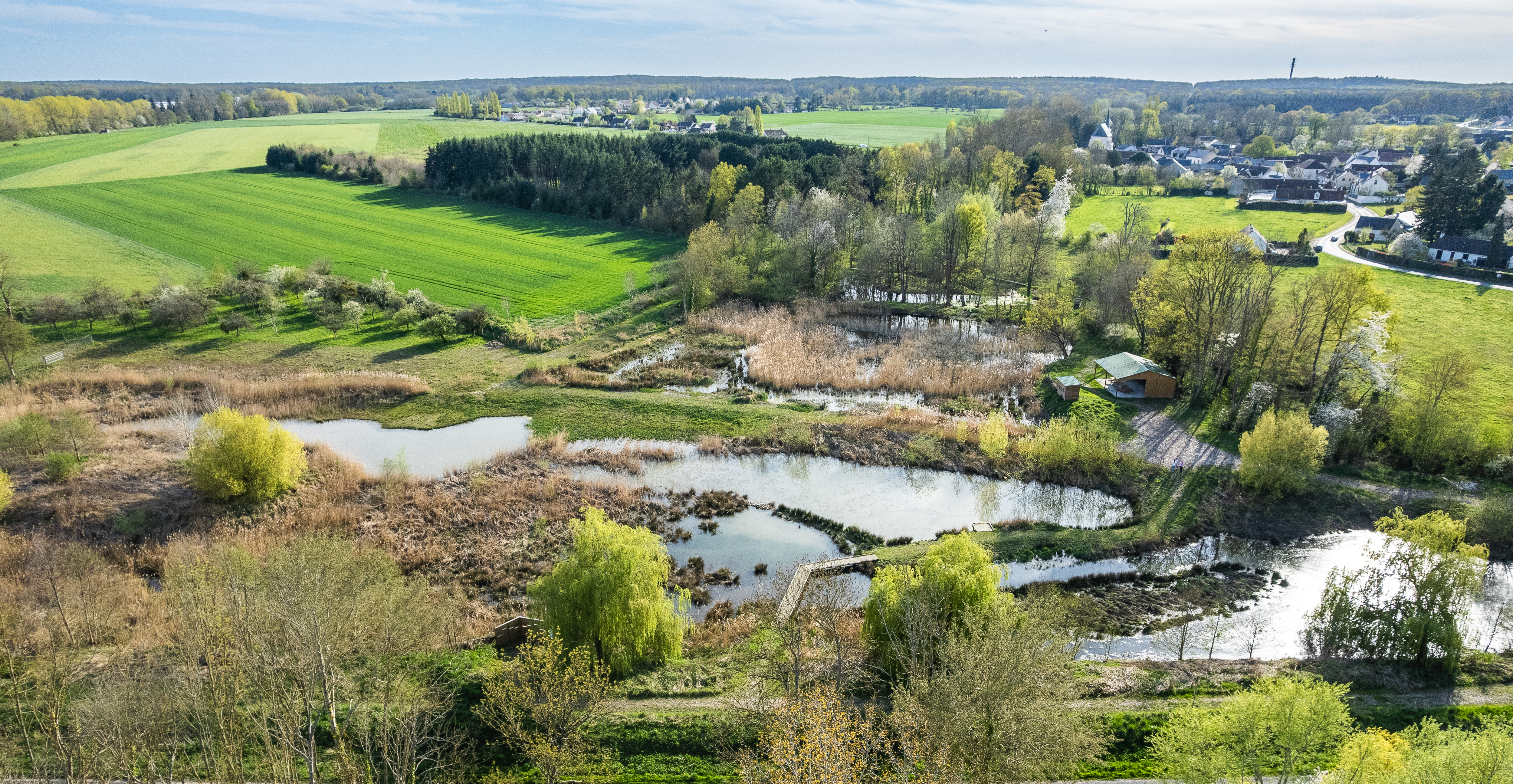 Espace naturel sensible des Pâtureaux, Chambon-la-Forêt - photo 6