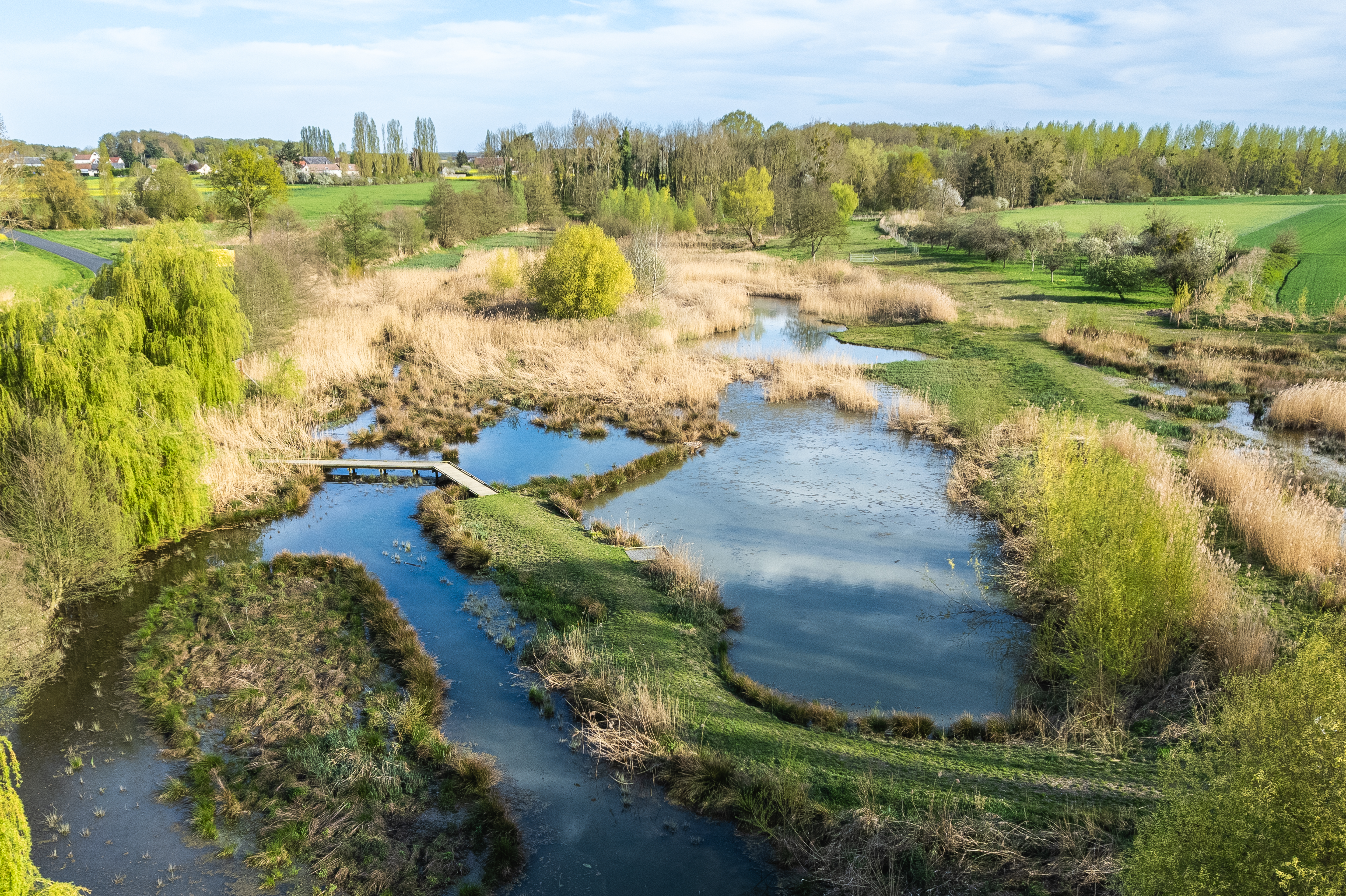 Espace naturel sensible des Pâtureaux, Chambon-la-Forêt - photo 4