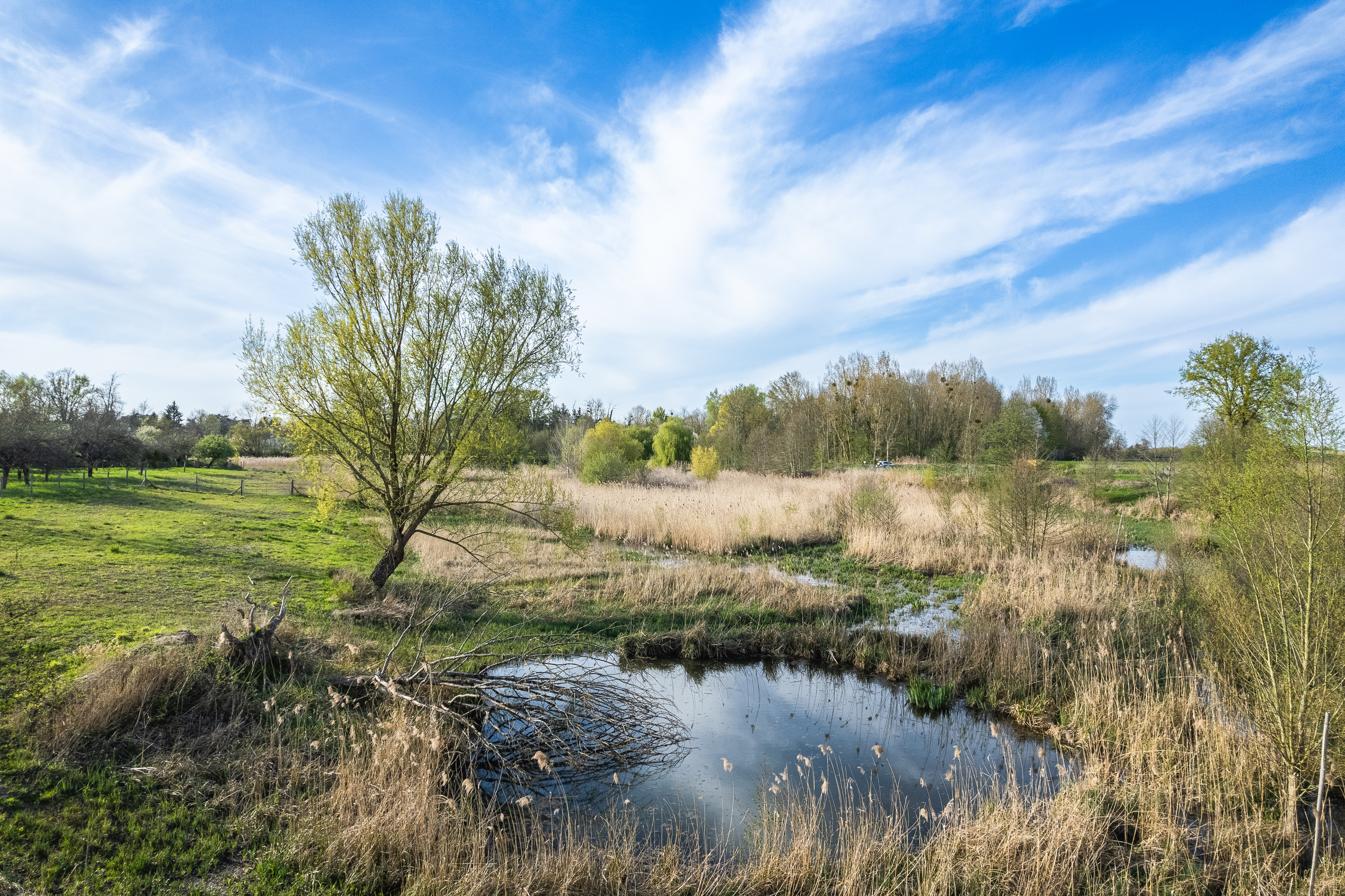Espace naturel sensible des Pâtureaux