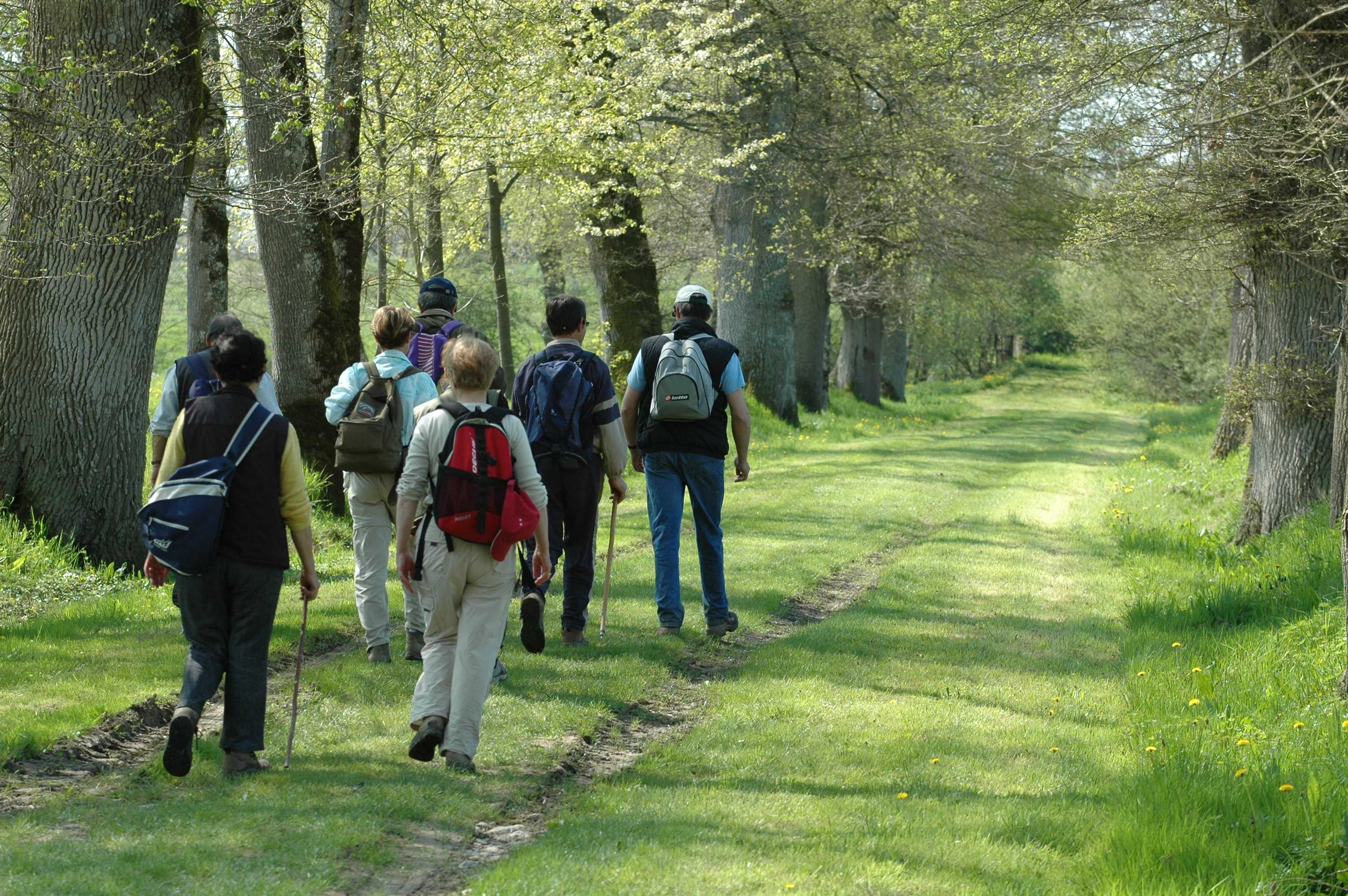 Moulin d'Angibault, Montipouret