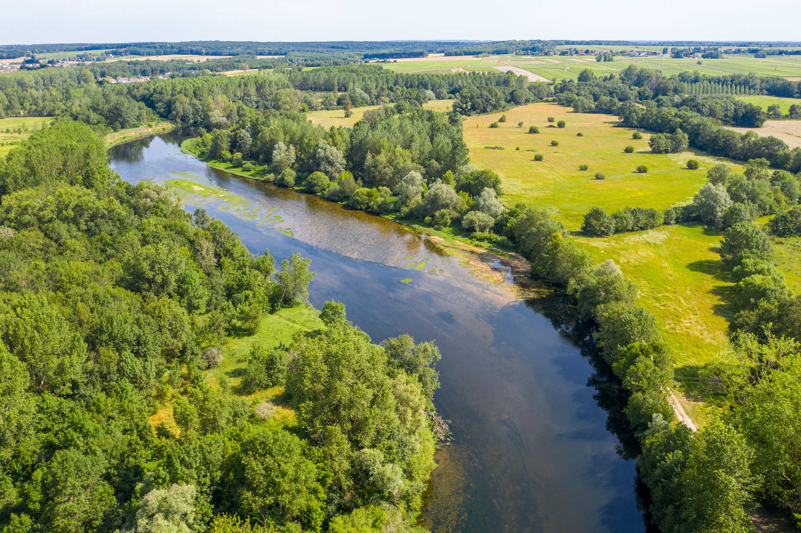 Prairies du Fouzon - Conservatoire d'espaces naturels Centre-Val de Loire