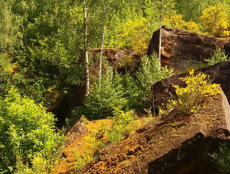 Base VTT sud du Perche - Entre bocage et roussard C0